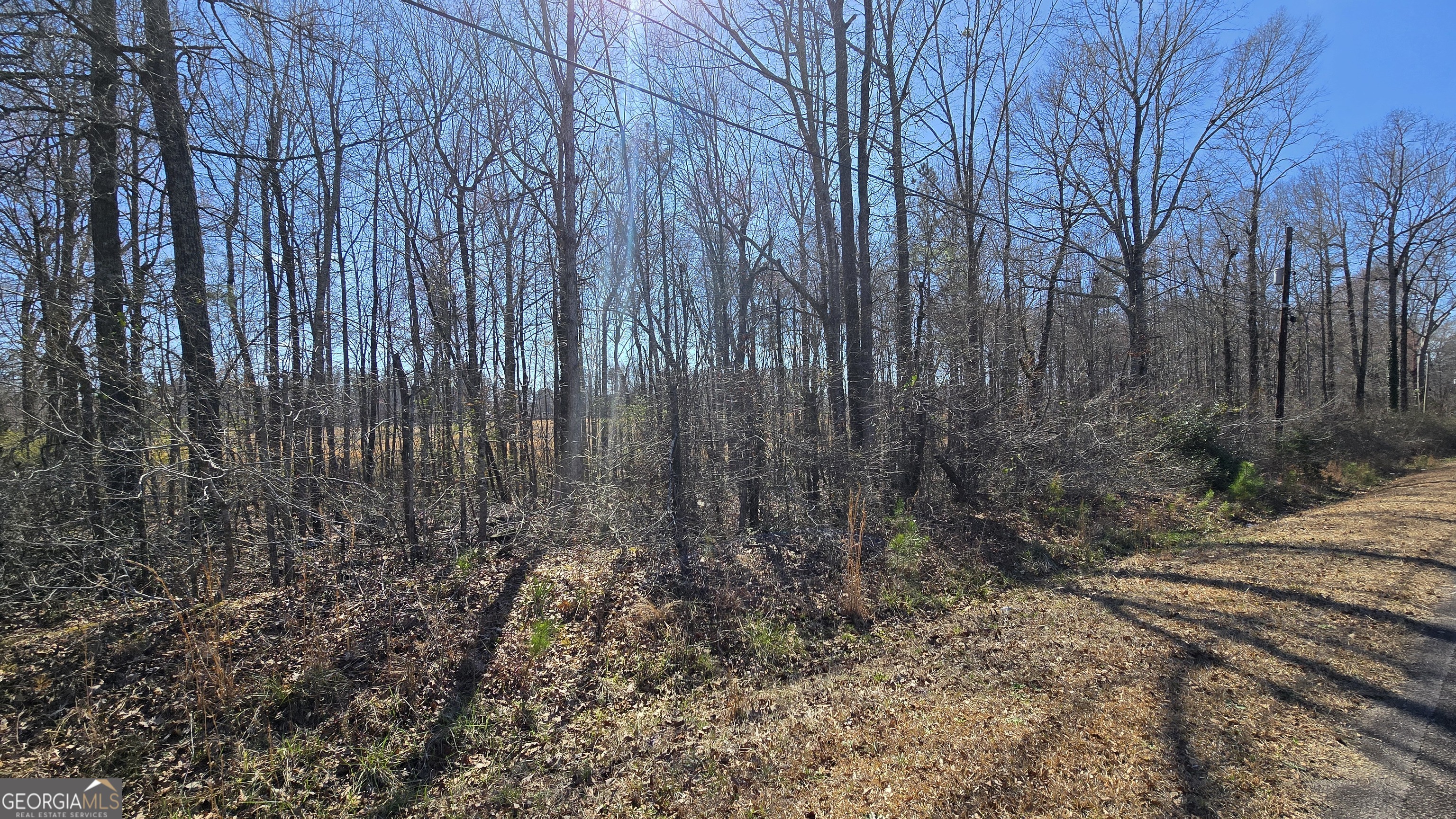 1108 Spring Creek Circle Property Photo 2