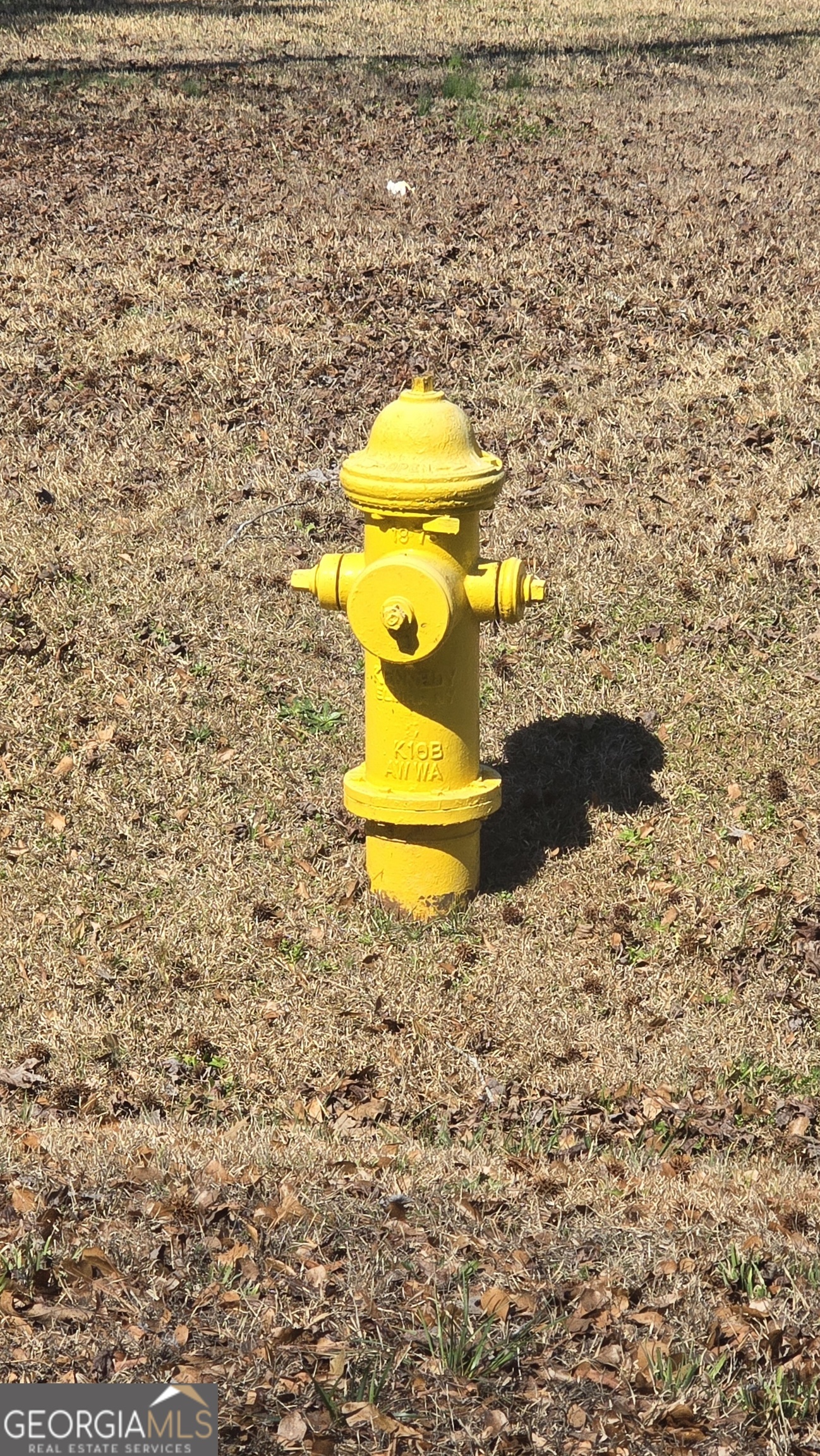 1108 Spring Creek Circle Property Photo 3