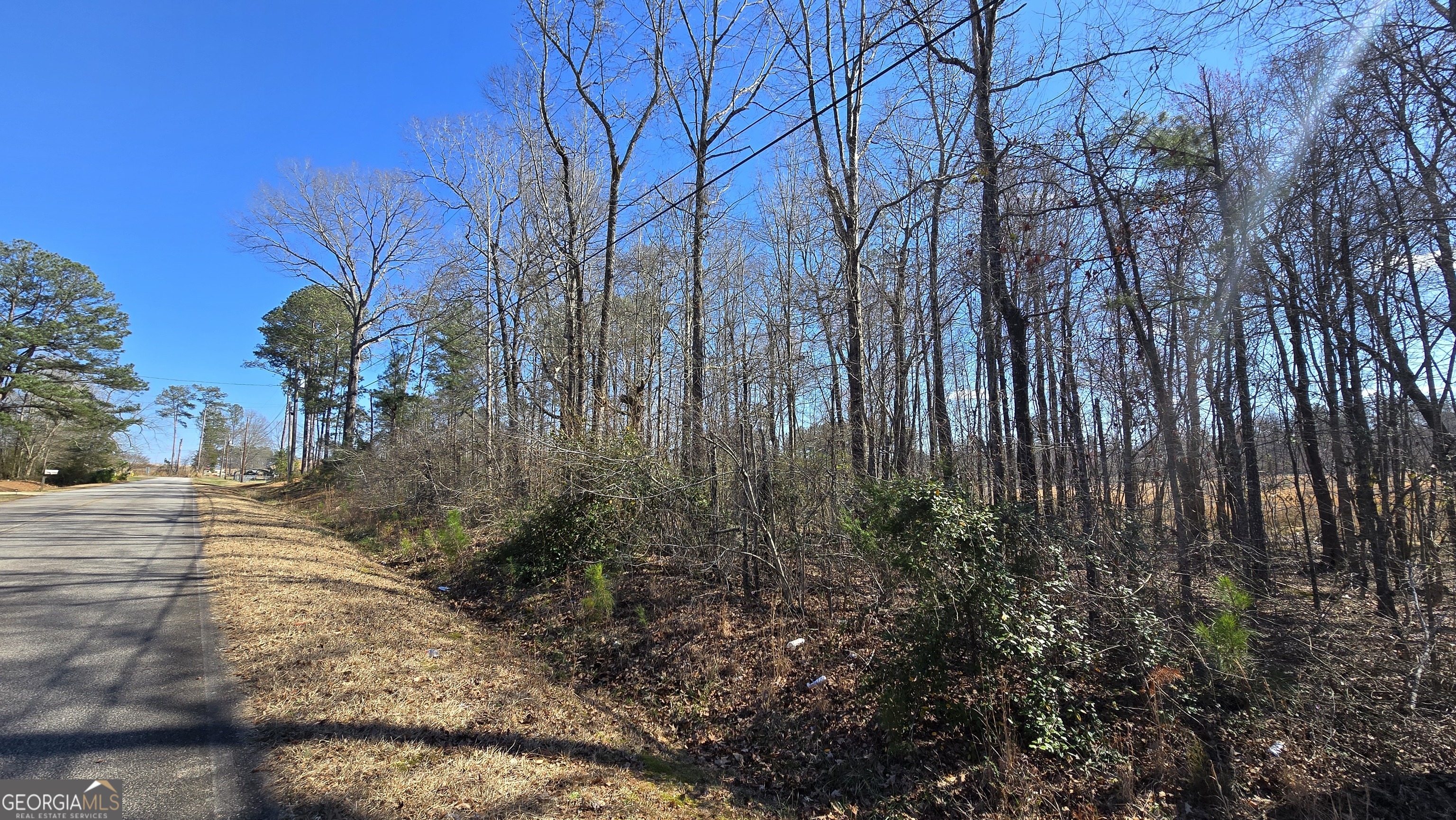 1108 Spring Creek Circle Property Photo 4