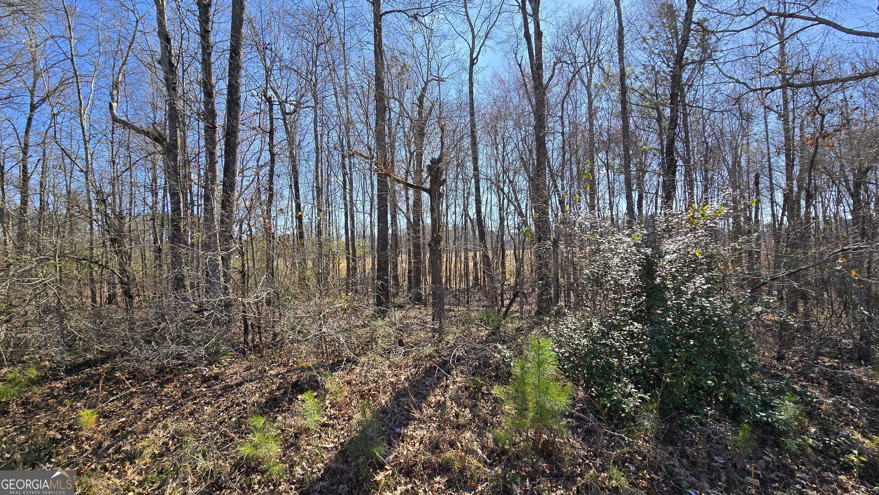 1108 Spring Creek Circle Property Photo 5