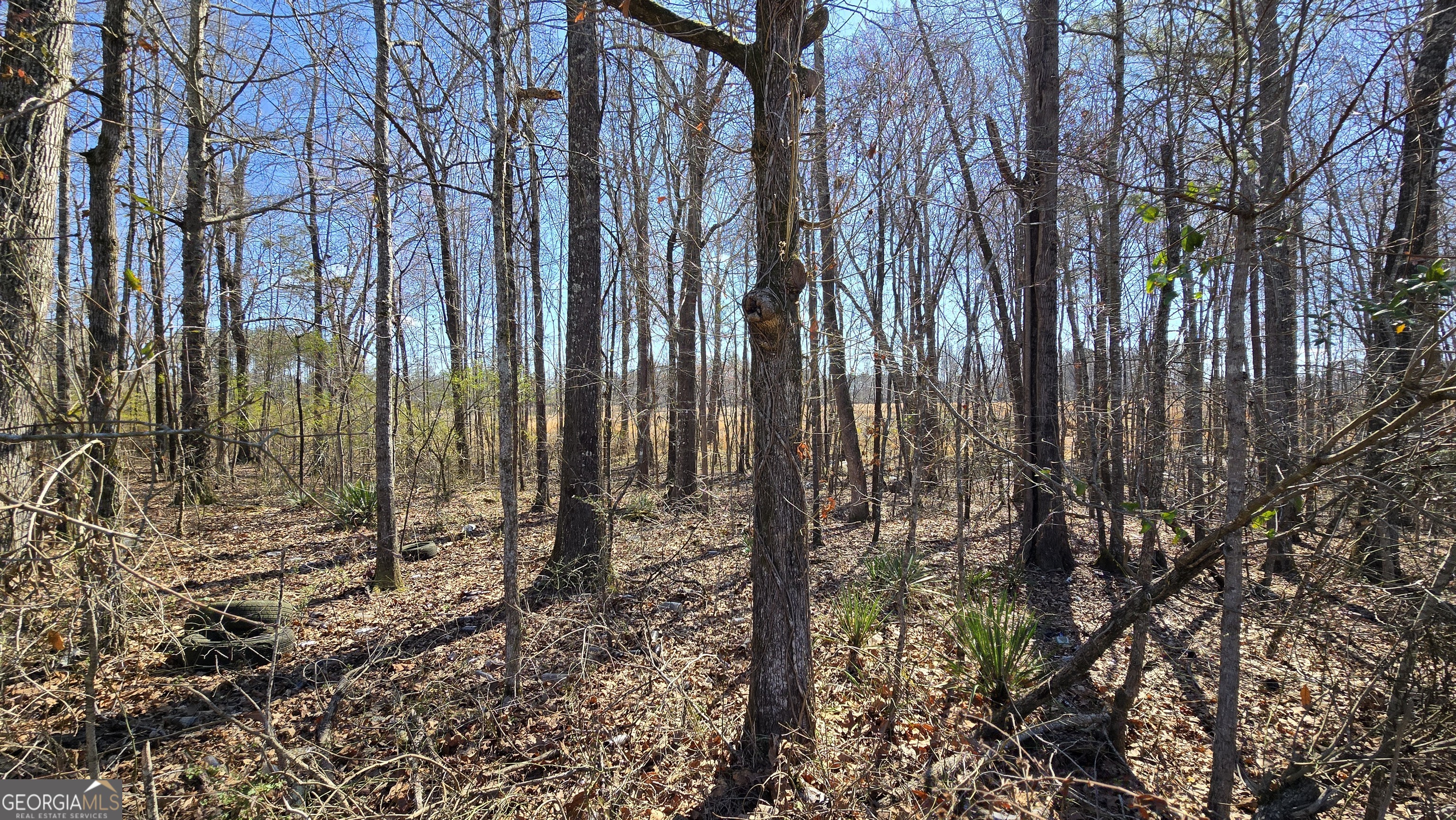 1108 Spring Creek Circle Property Photo 6