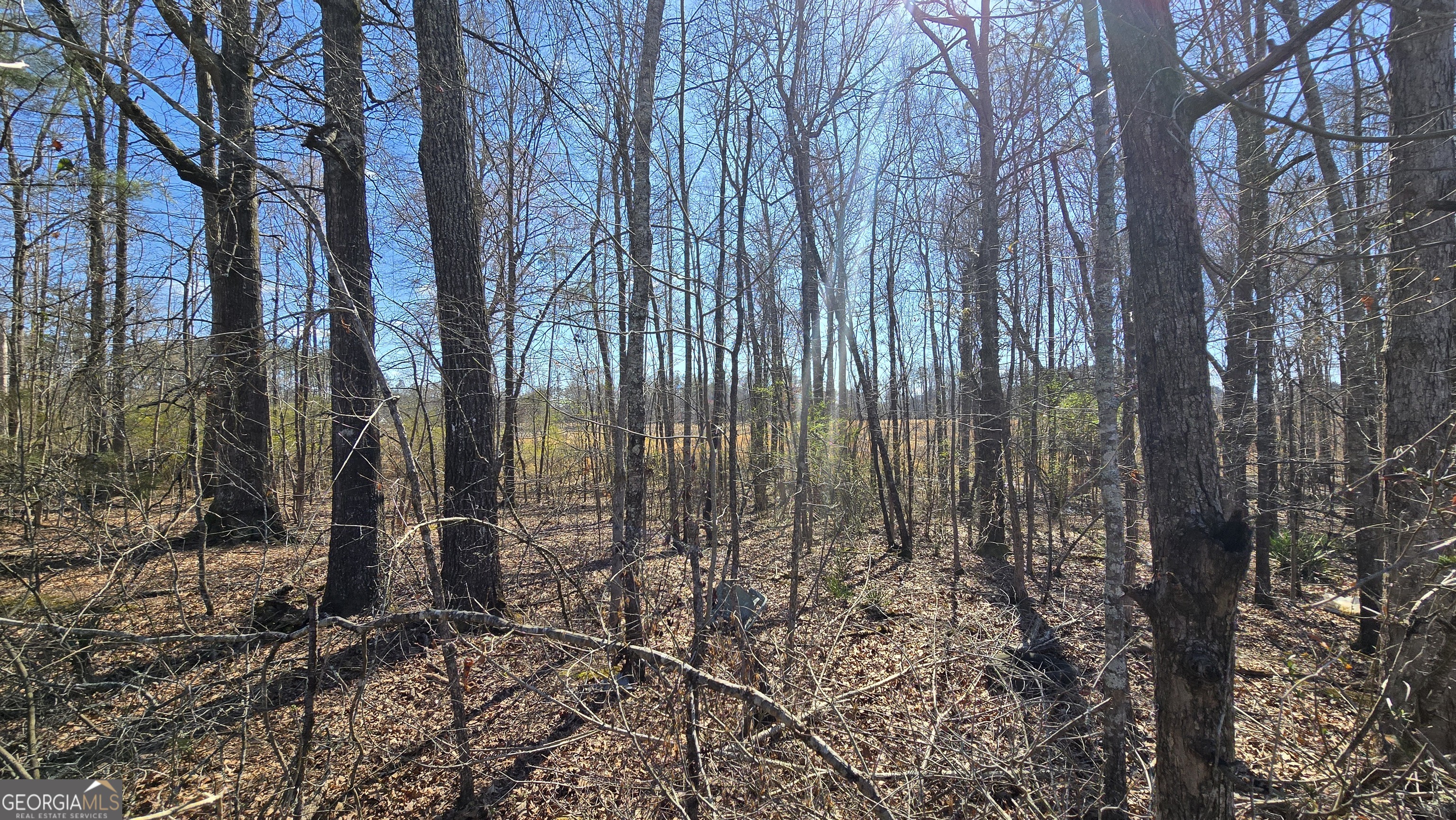 1108 Spring Creek Circle Property Photo 7