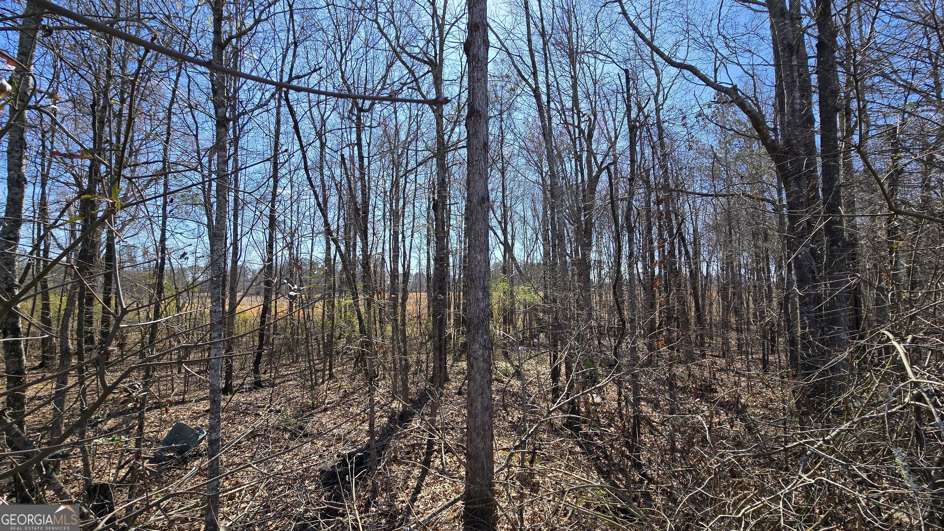 1108 Spring Creek Circle Property Photo 8