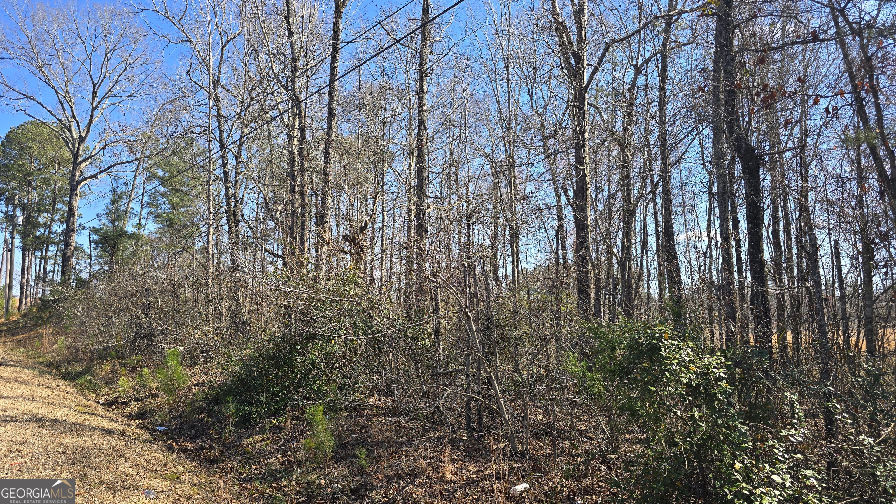 1108 Spring Creek Circle Property Photo 9