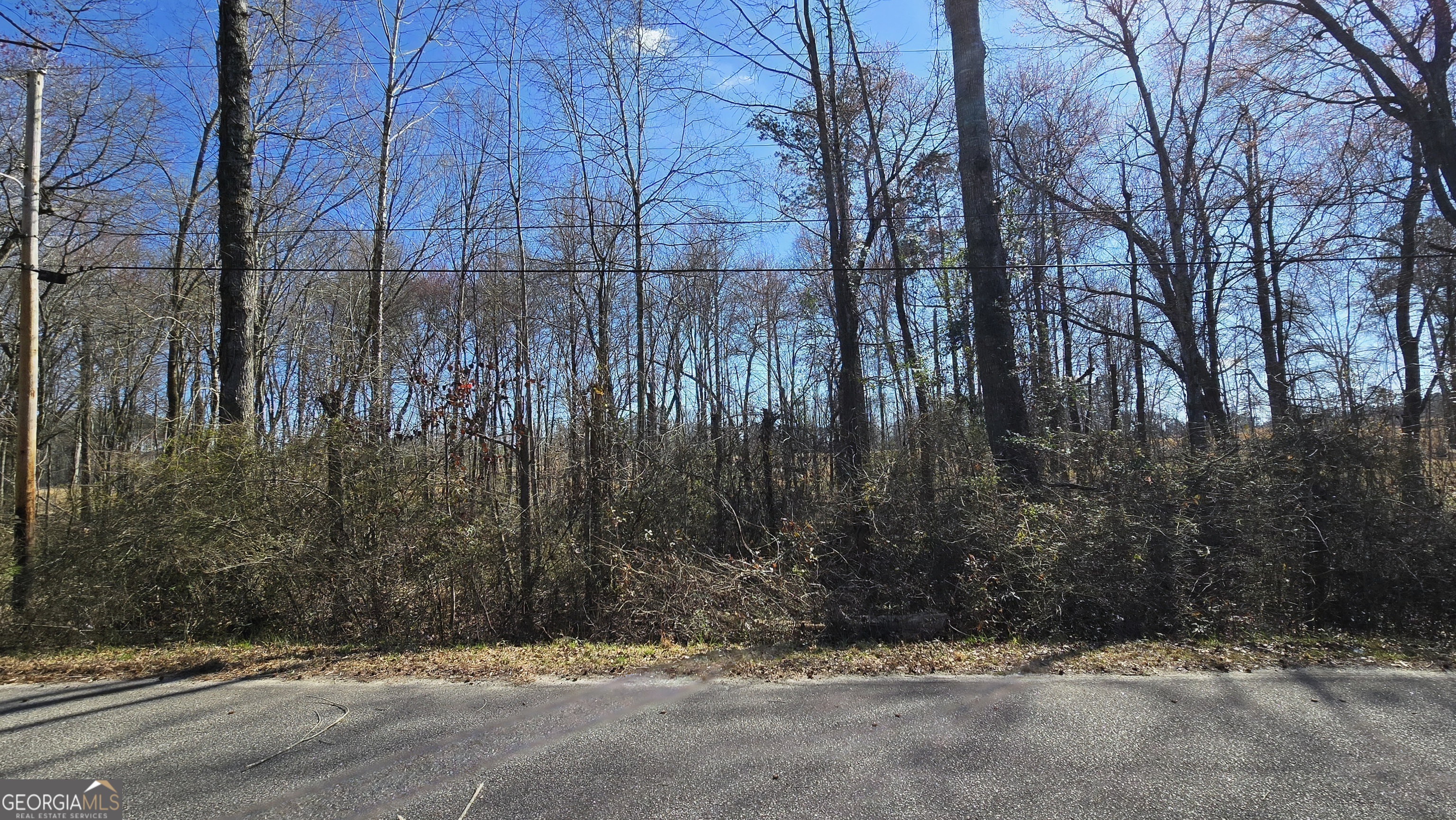 1114 Spring Creek Circle Property Photo 2