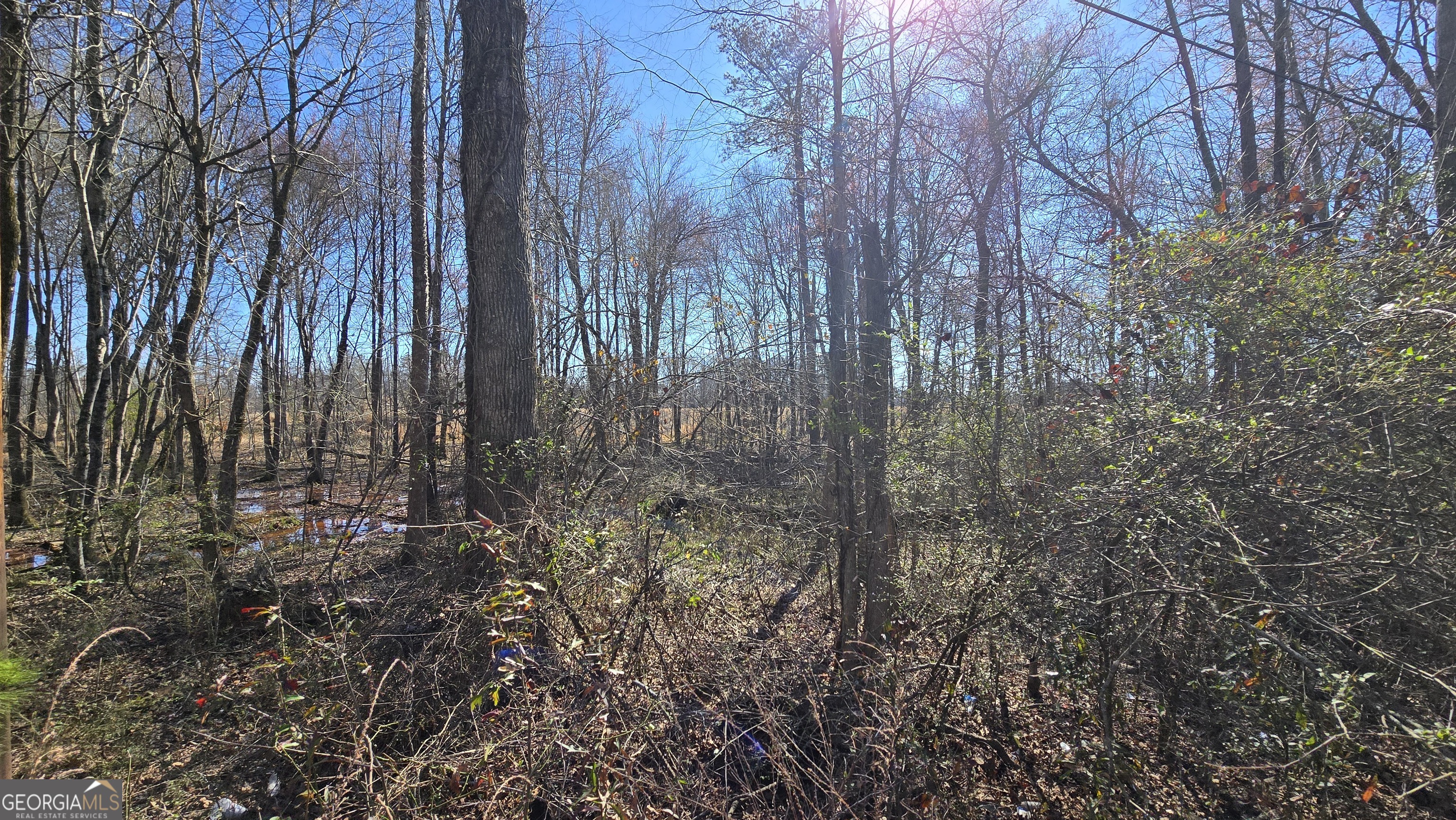 1114 Spring Creek Circle Property Photo 4