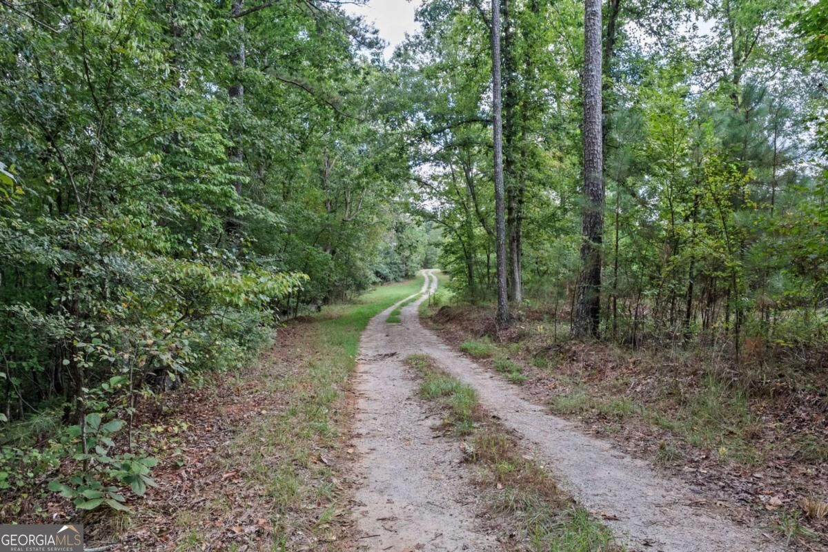 1032 Washington Road Property Photo 3