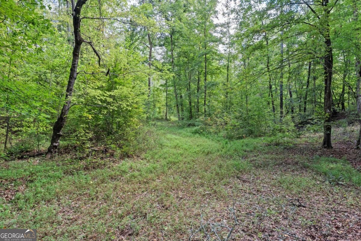 1032 Washington Road Property Photo 13