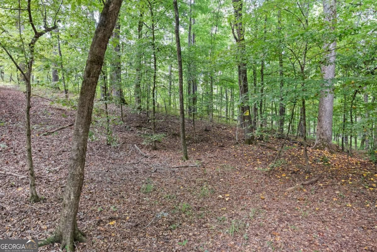 1032 Washington Road Property Photo 14