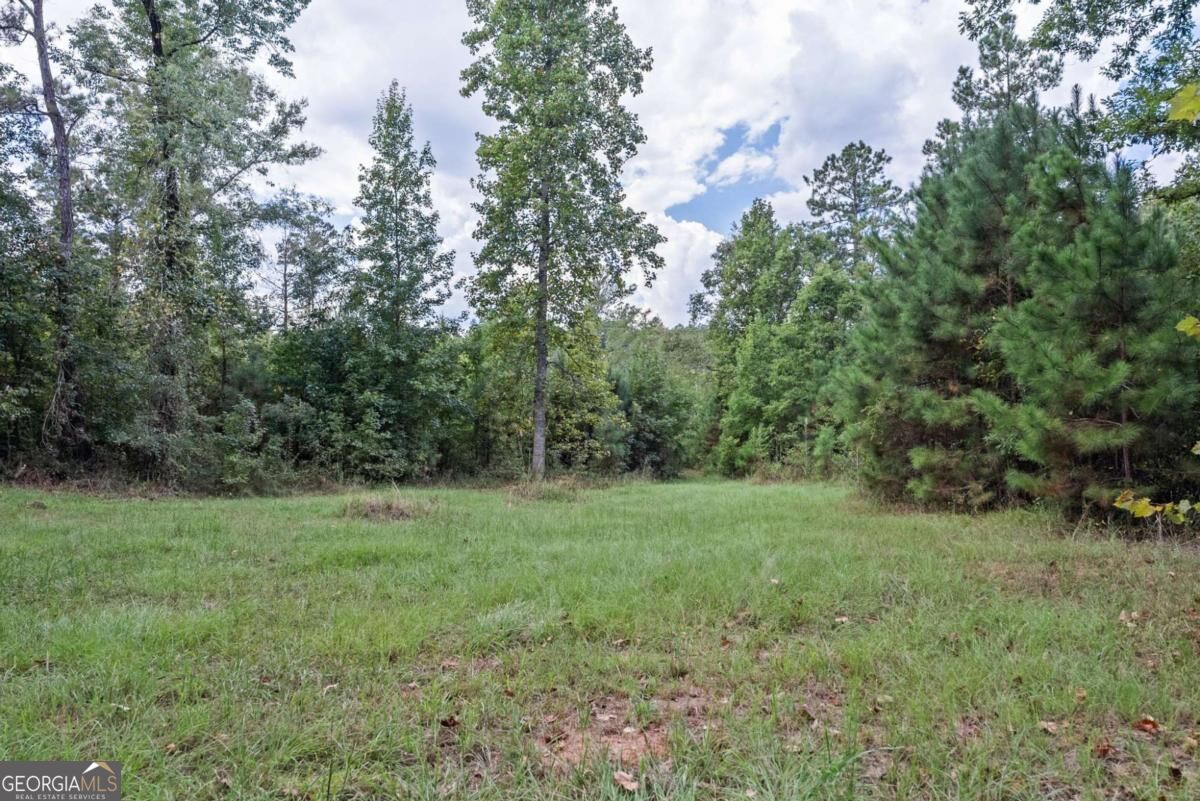 1032 Washington Road Property Photo 16