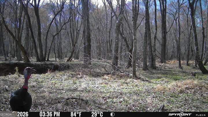 1032 Washington Road Property Photo 19