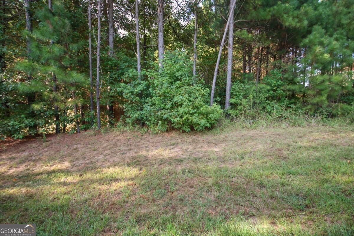 1779 Robinson Court Property Photo 34