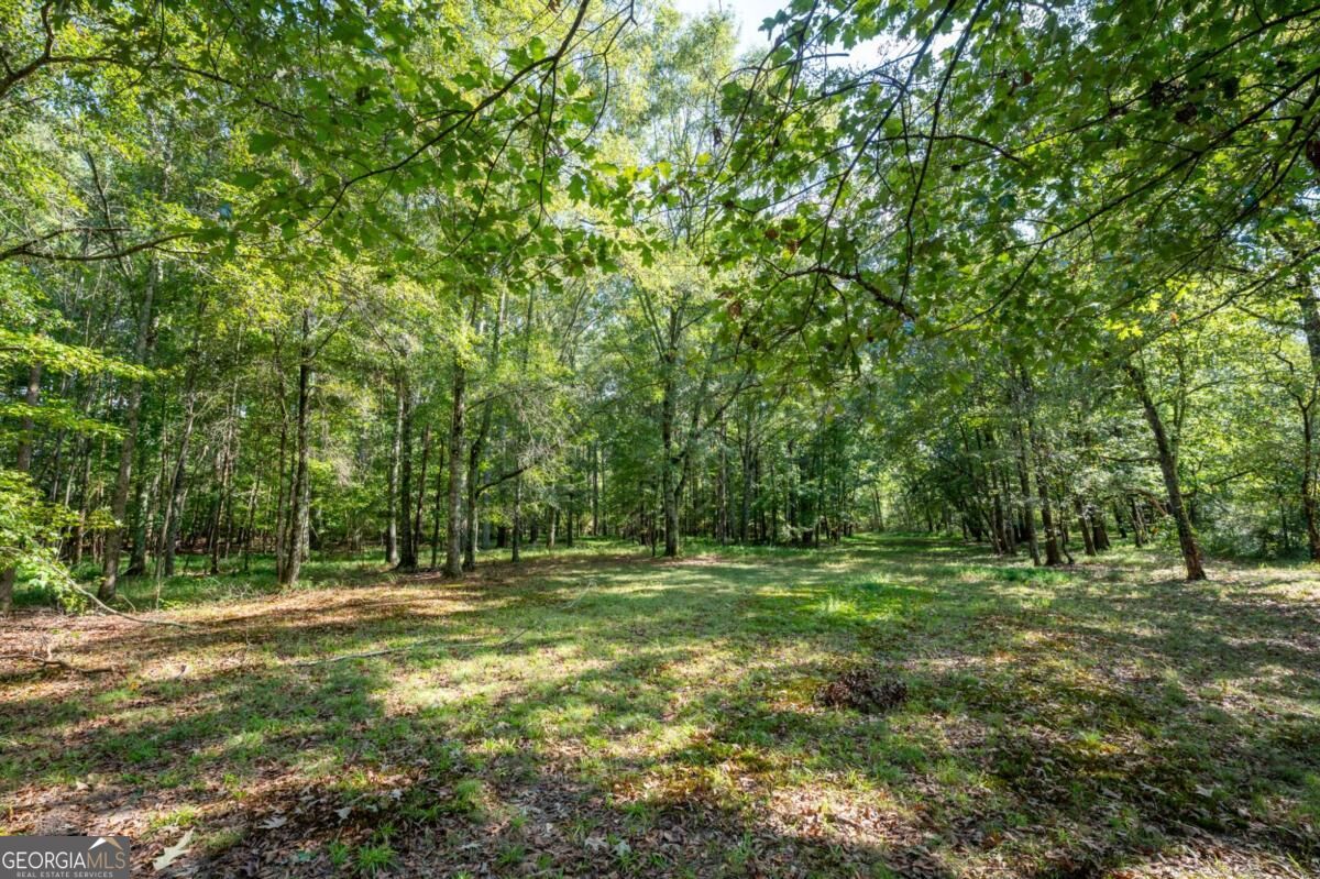 1215 Cullpepper Road Ne Property Photo 50