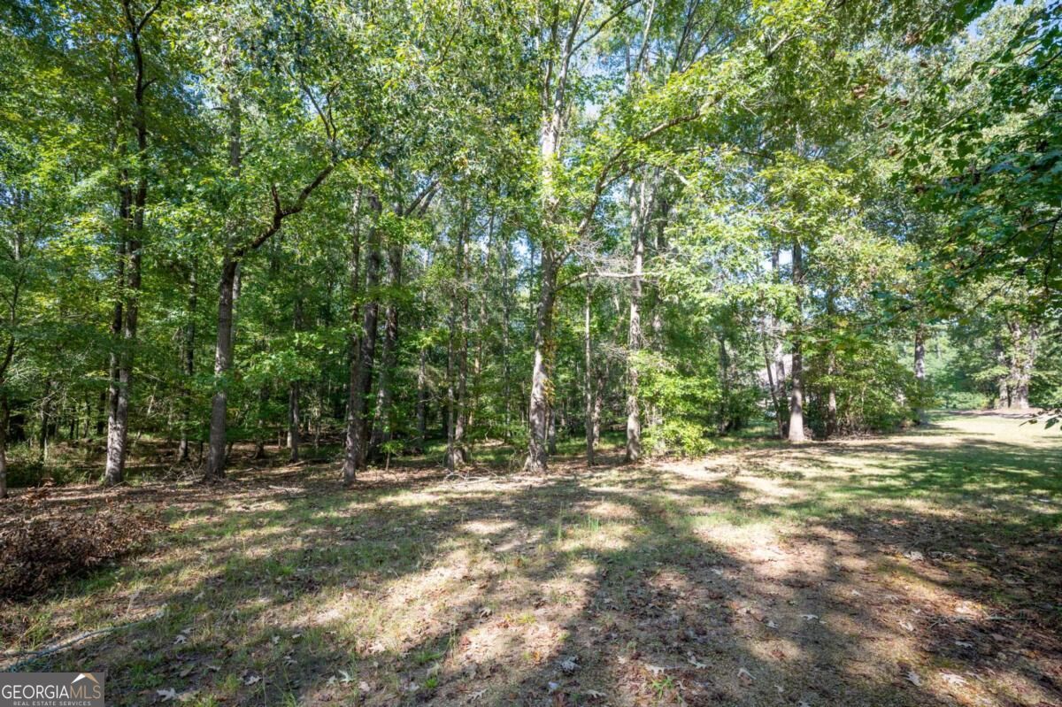 1215 Cullpepper Road Ne Property Photo 56