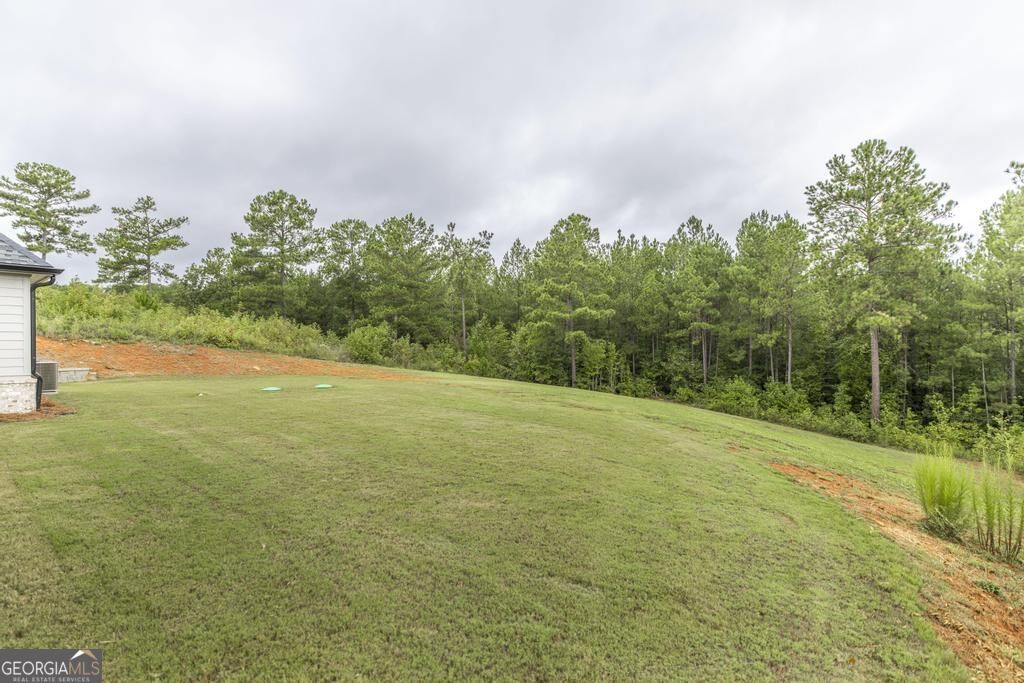 216 Creekside Trail Property Photo 42
