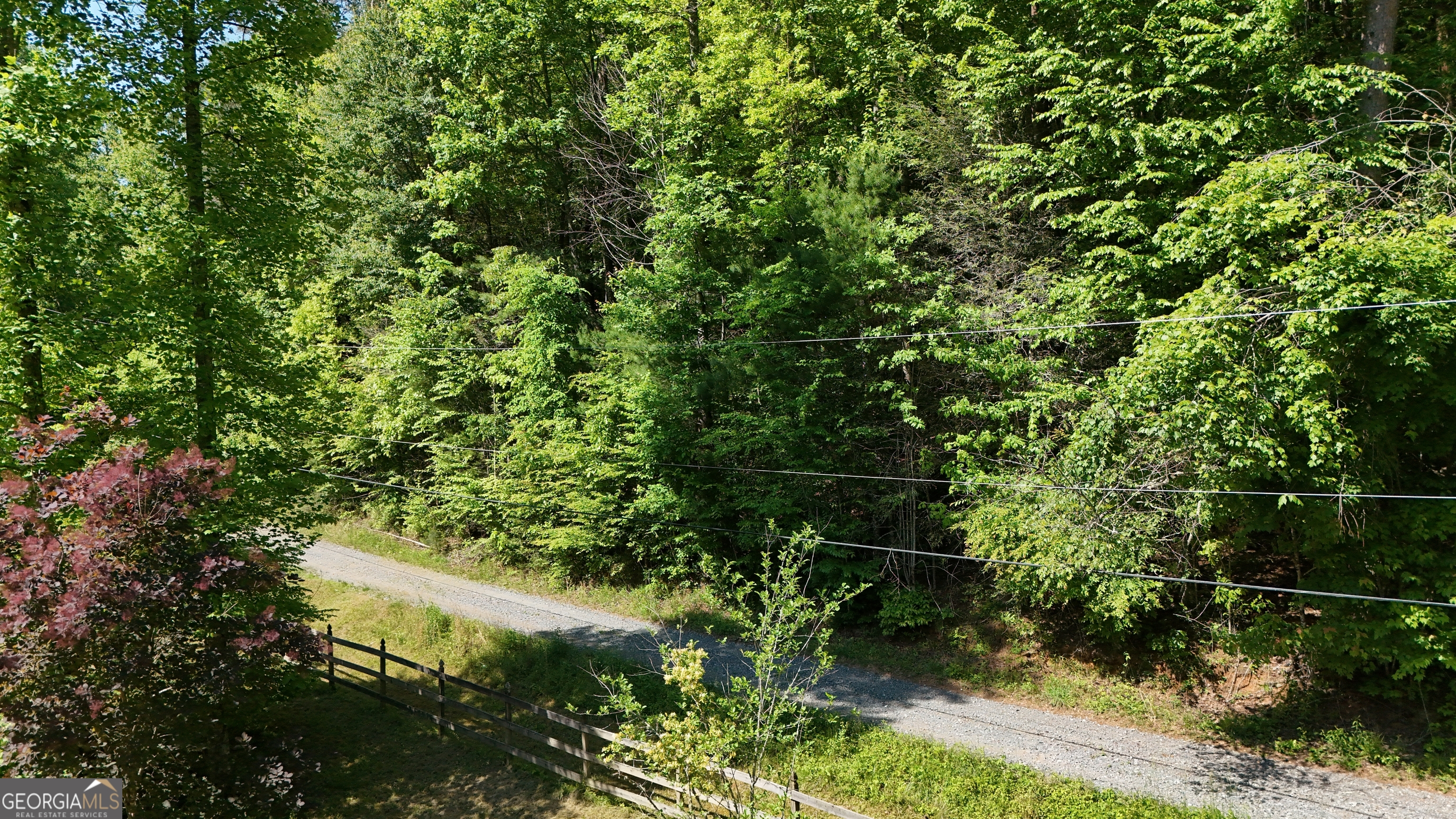 0 Gold Springs Road Property Photo 11