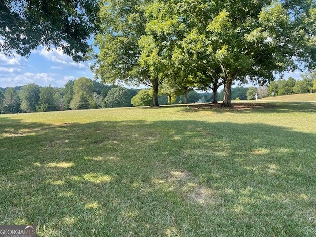 1007 West Gordon Street Property Photo 4