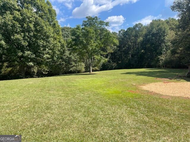 1007 West Gordon Street Property Photo 8