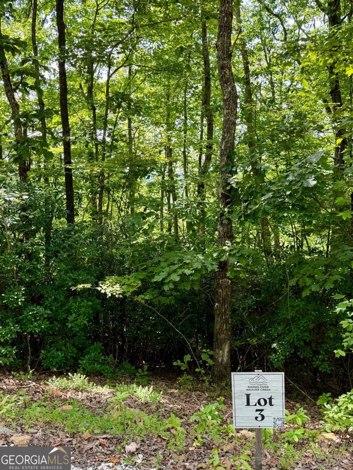 Lot 3 Blue Horizon Drive Property Photo 1
