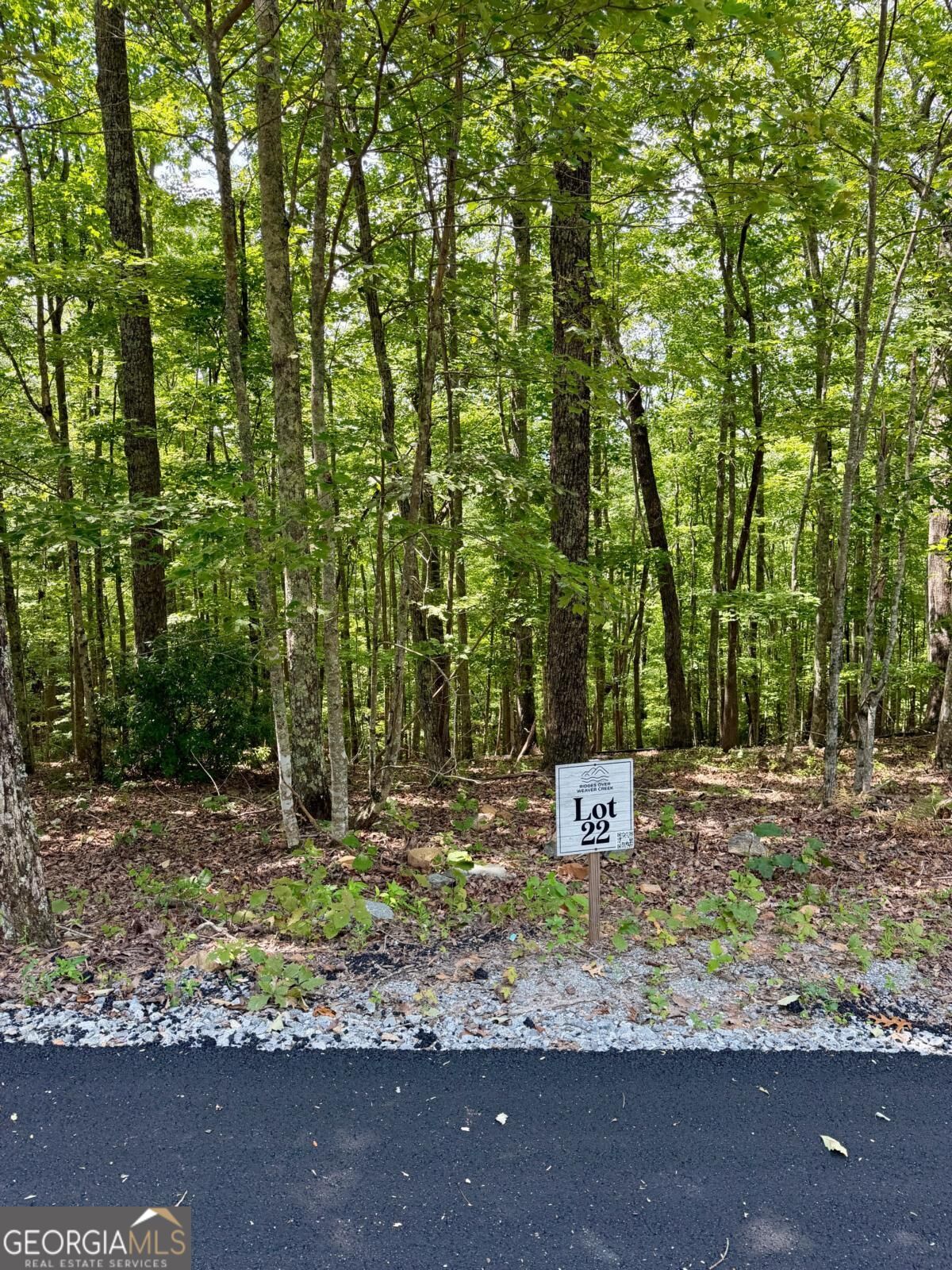 LOT 22 Blue Horizon Drive Property Photo 1