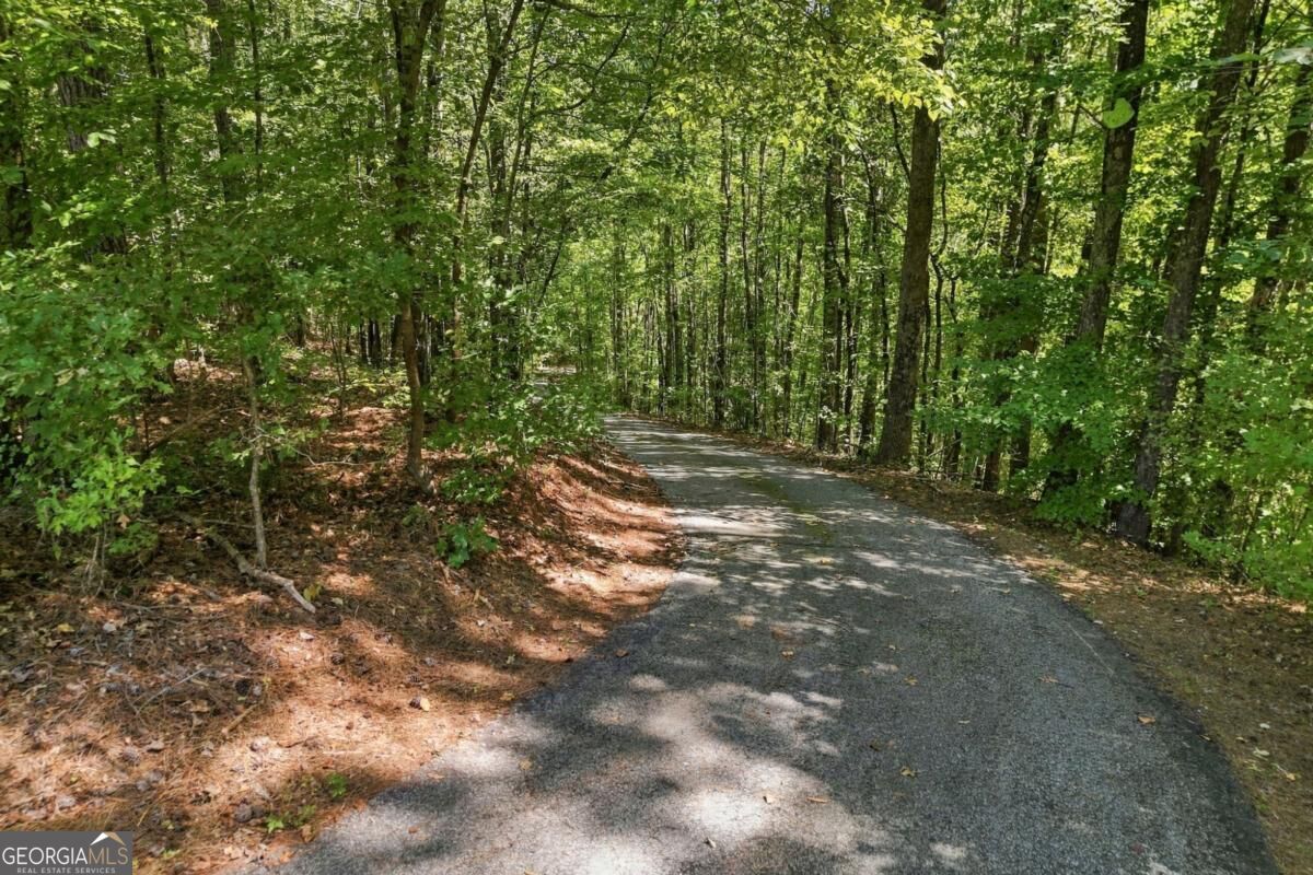981 Cochran Ridge Road Property Photo 63
