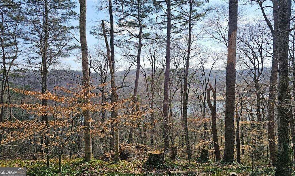 128 River Ridge Lane Property Photo 3