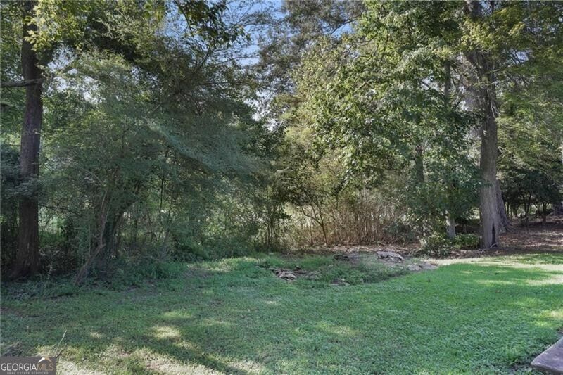 3347 Conley Downs Drive Property Photo 26
