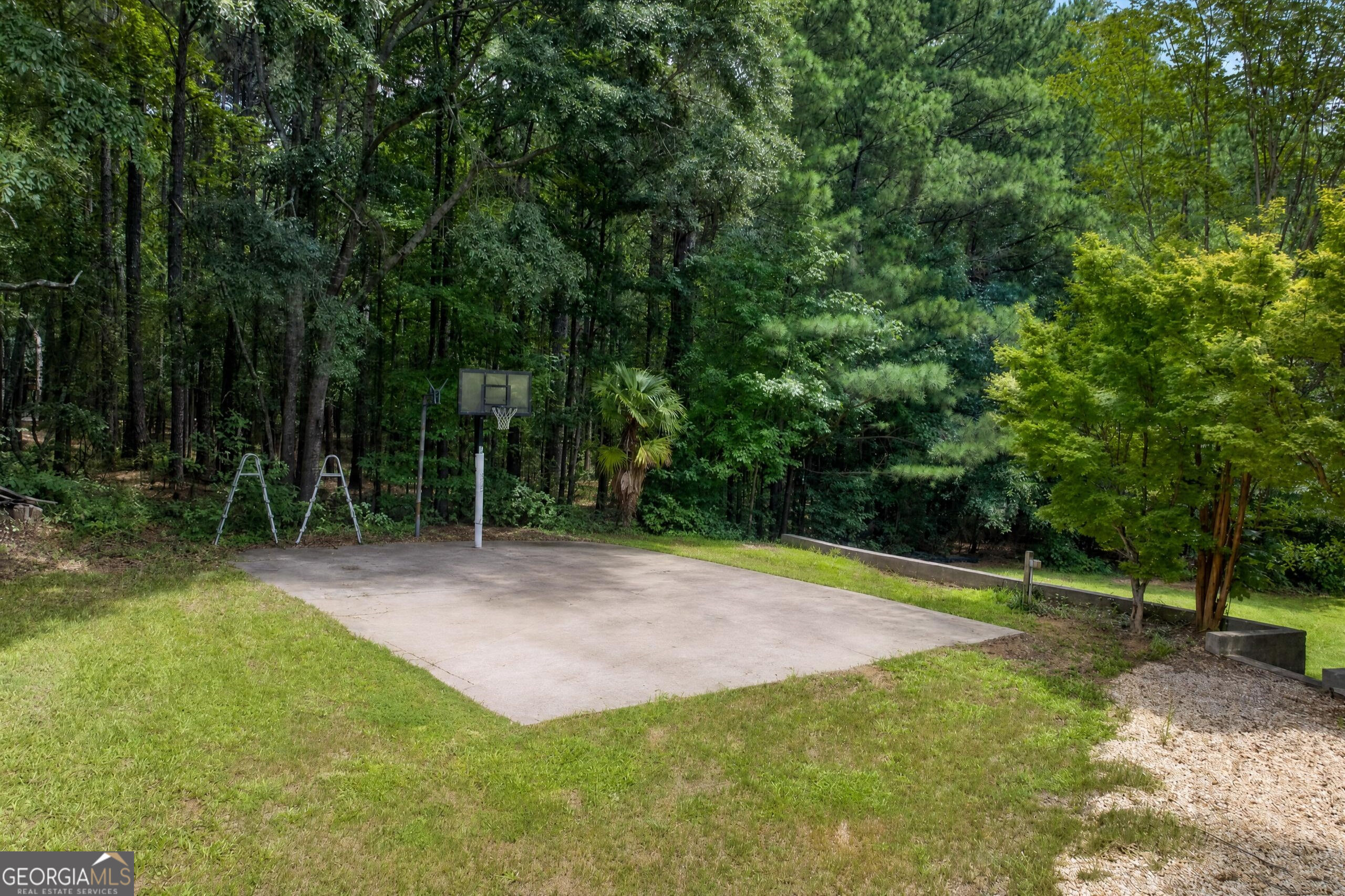 410 Old Highway 81 Property Photo 65