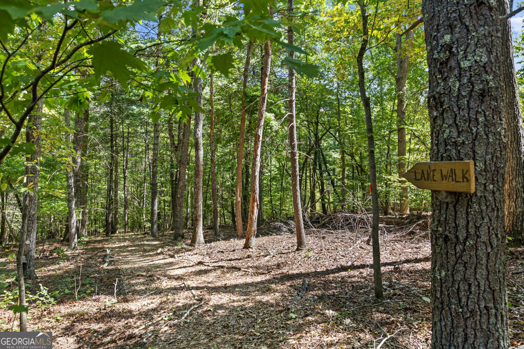 32 Squirrel Trail Property Photo 28