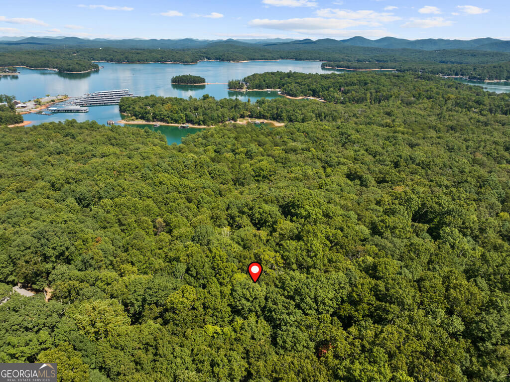 32 Squirrel Trail Property Photo 29