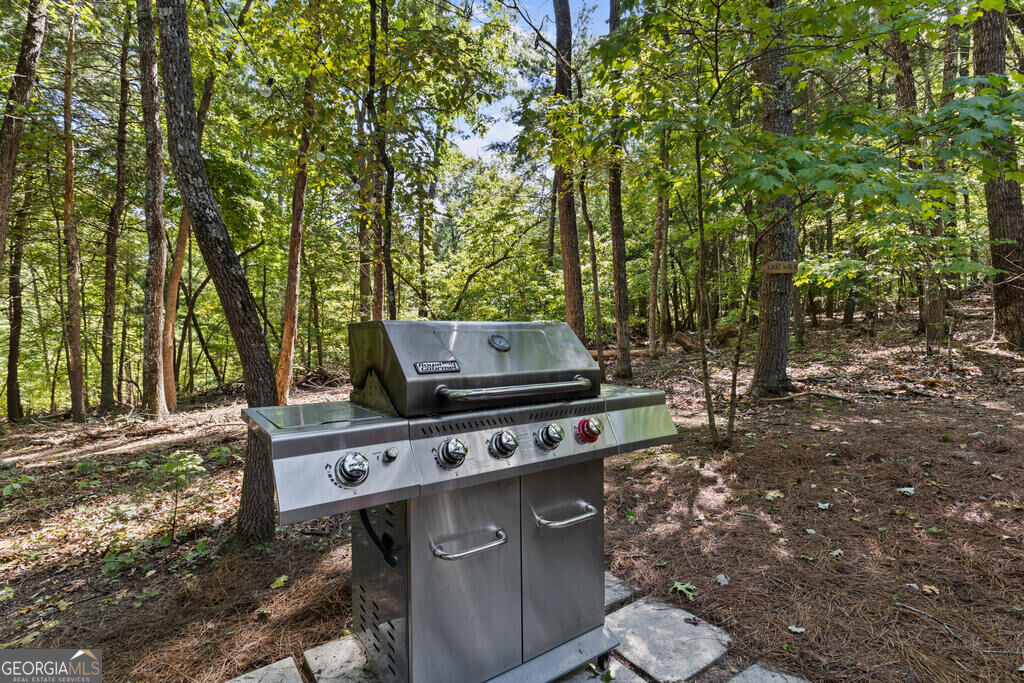 32 Squirrel Trail Property Photo 33