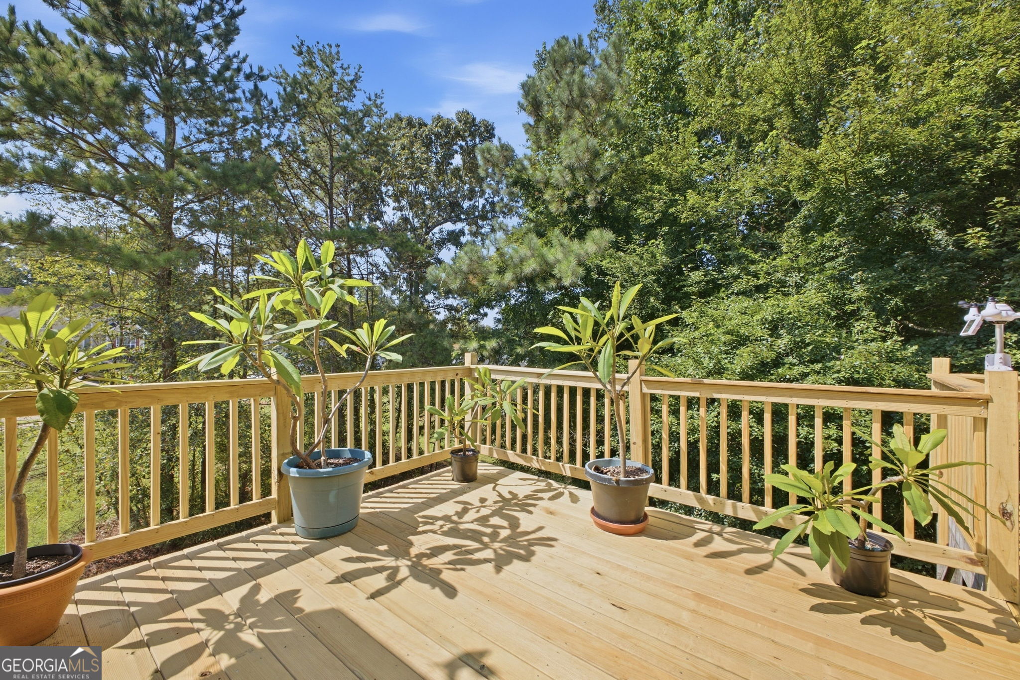 3465 Laurel Springs Cove Property Photo 7