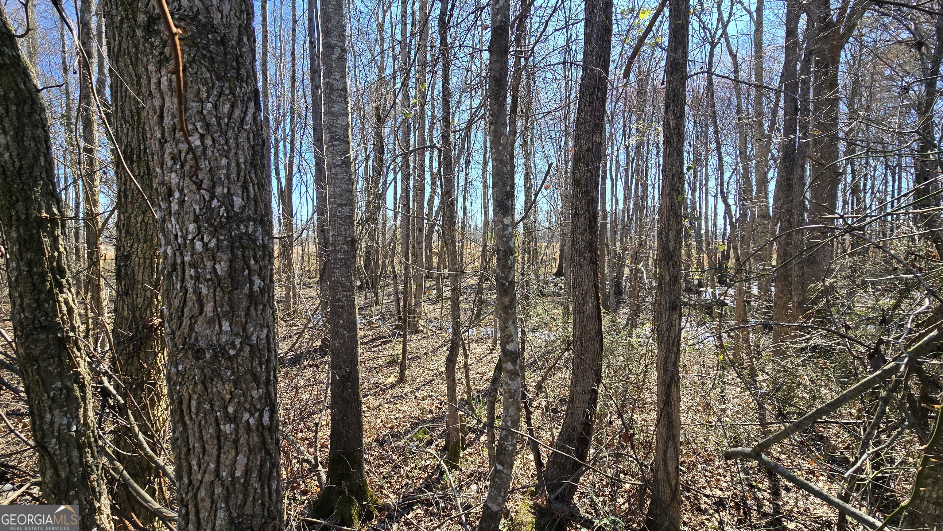 1112 Spring Creek Circle Property Photo 2