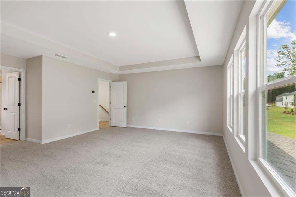 132 Serenade Creek Road Property Photo 21