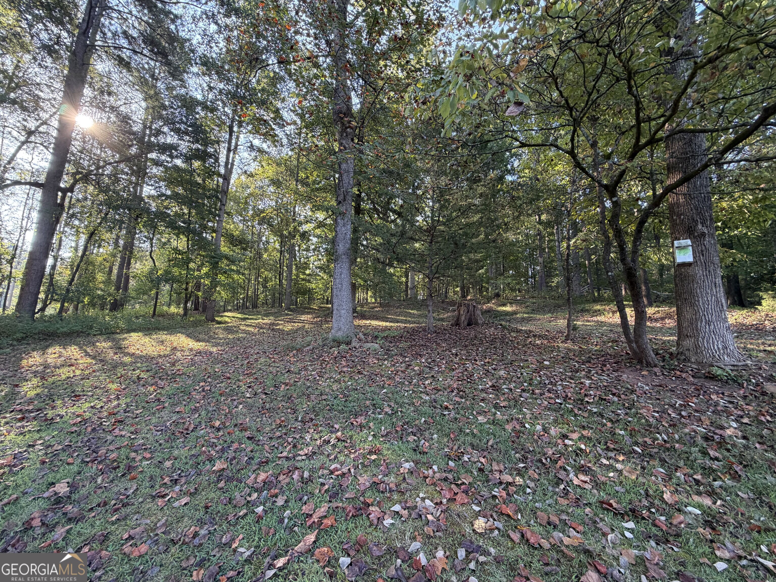 206 Benifield Drive Property Photo 20