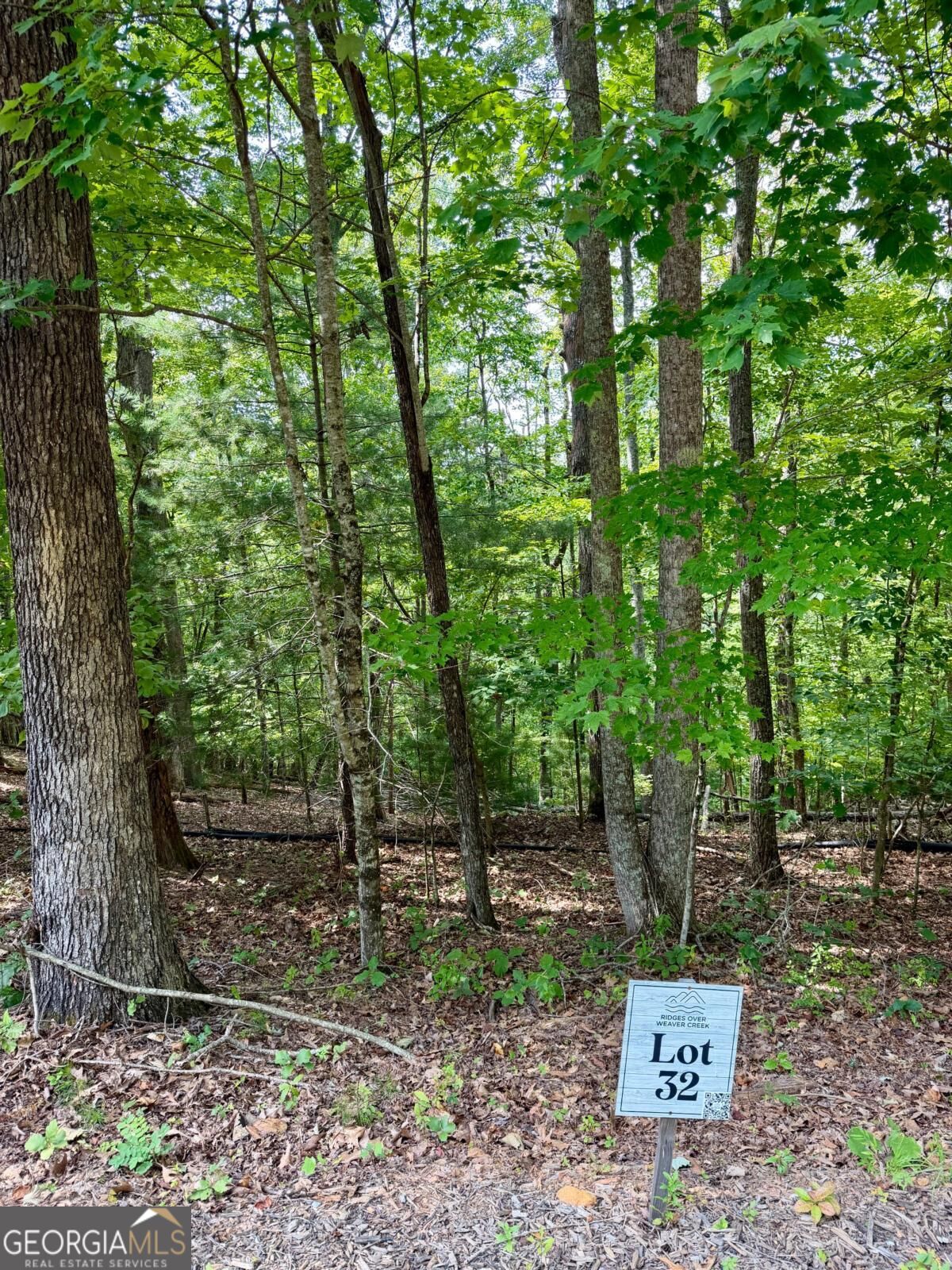 Lot 32 Blue Horizon Drive Property Photo 3