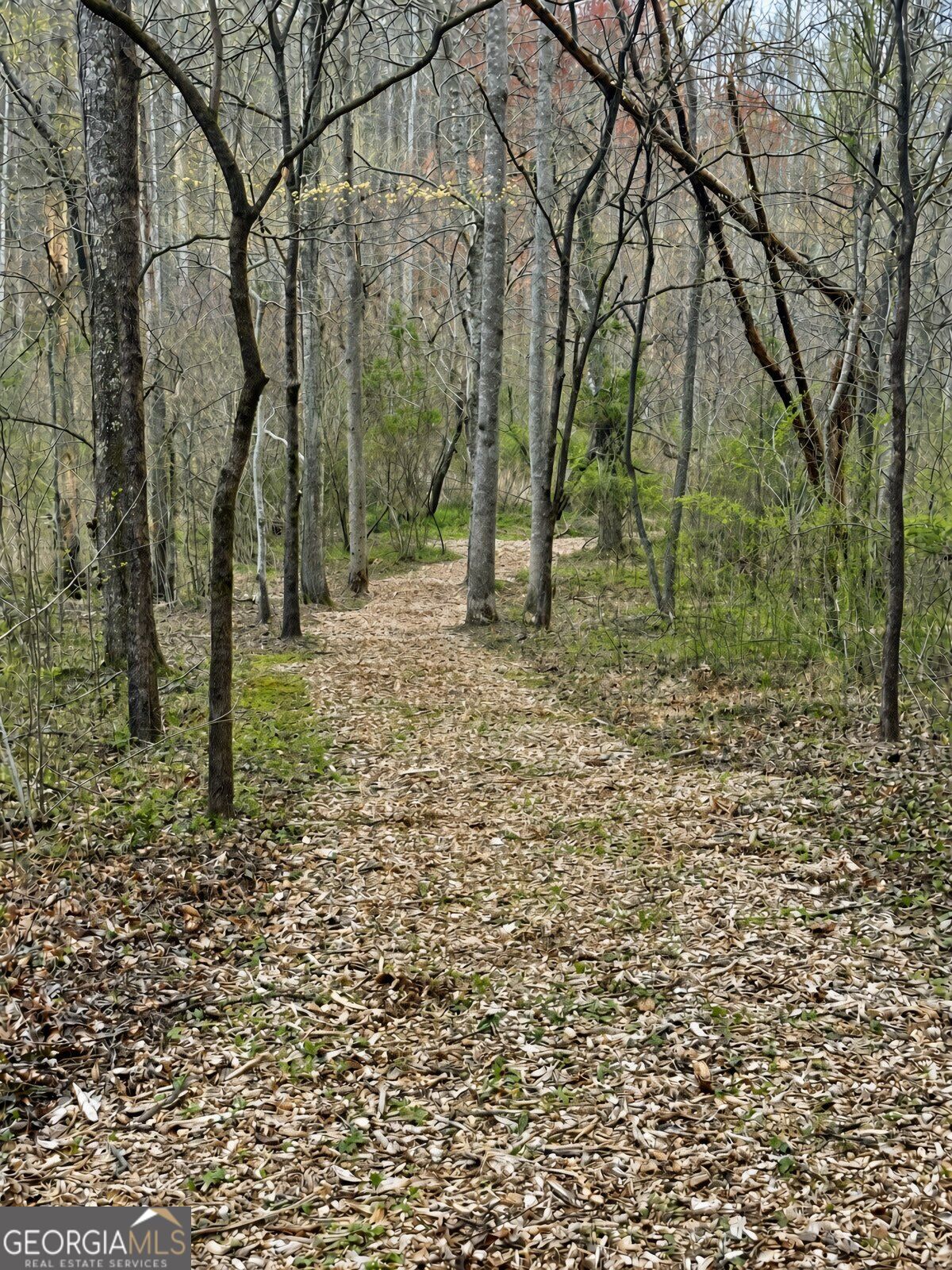 Lot 32 Blue Horizon Drive Property Photo 12