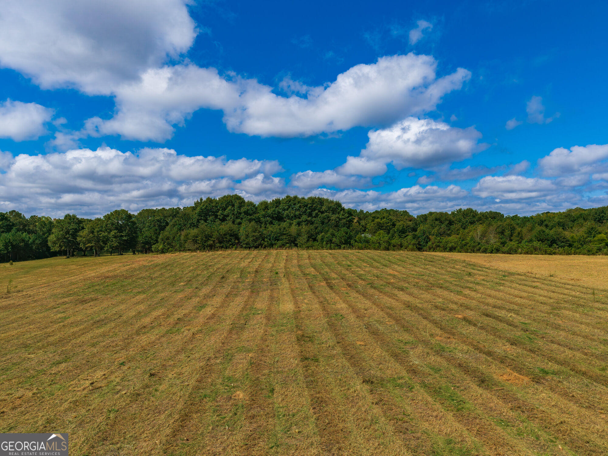201 Hamil Road Property Photo 4