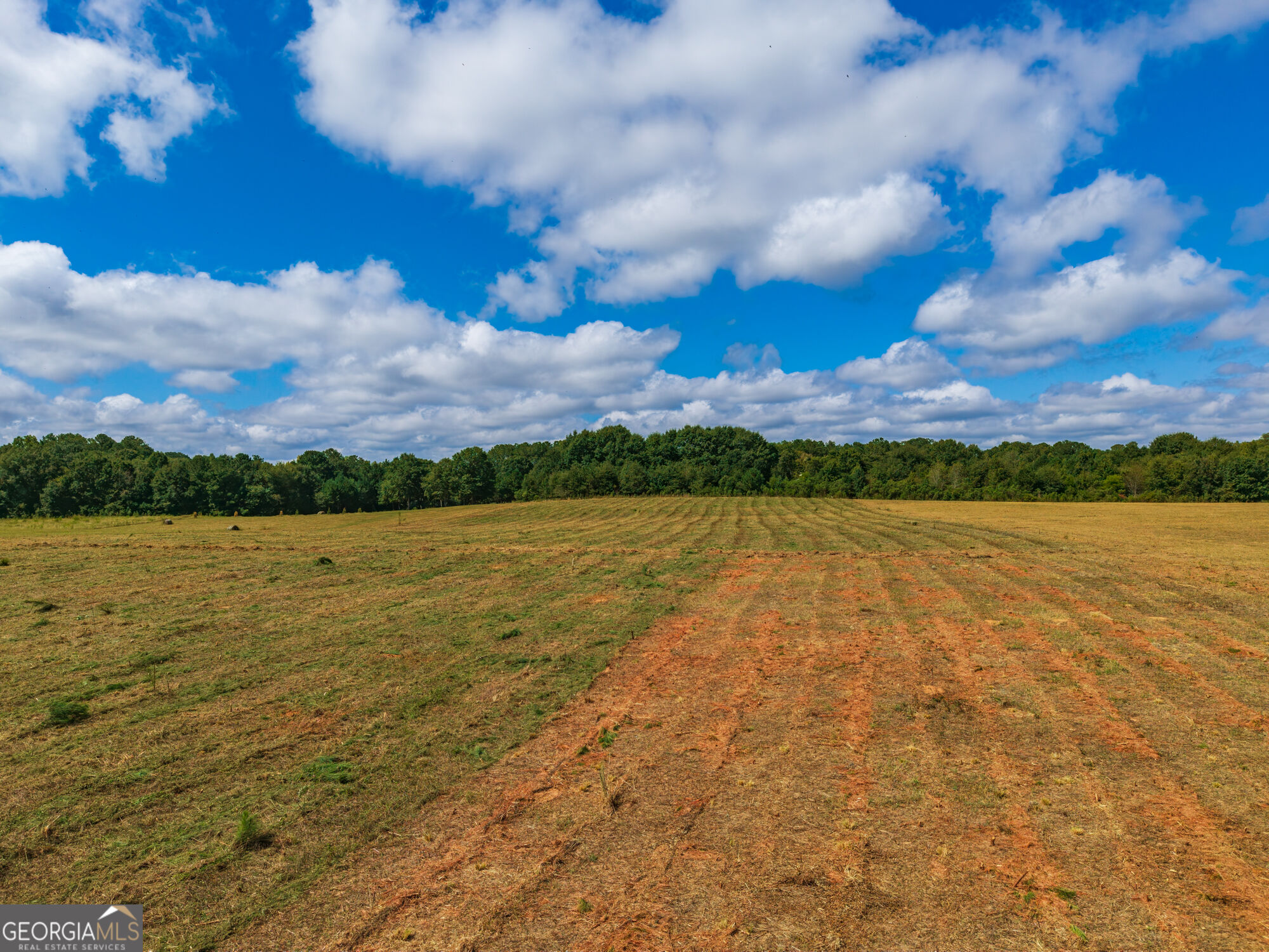 201 Hamil Road Property Photo 7