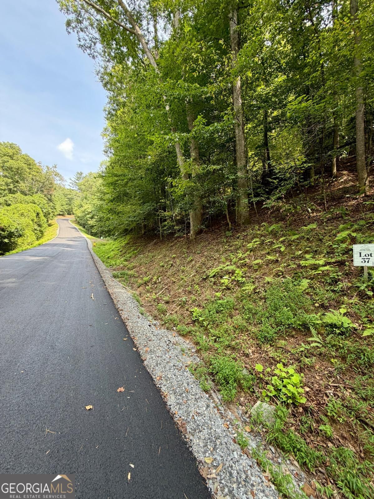 Lot 37 Blue Horizon Drive Property Photo 1