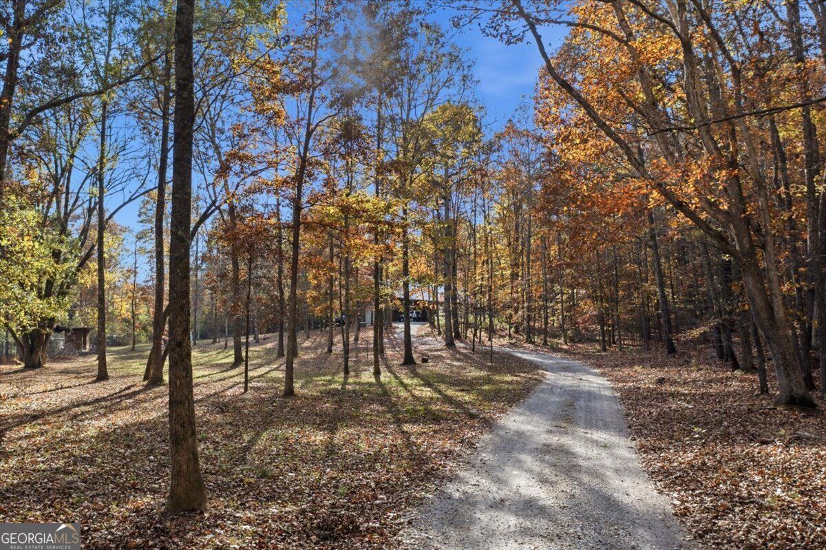 938 Marion Dairy Road Se Property Photo 4