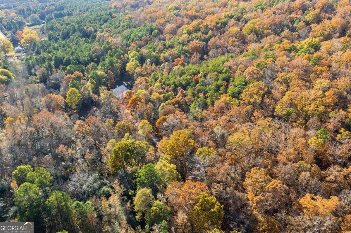 938 Marion Dairy Road Se Property Photo 10