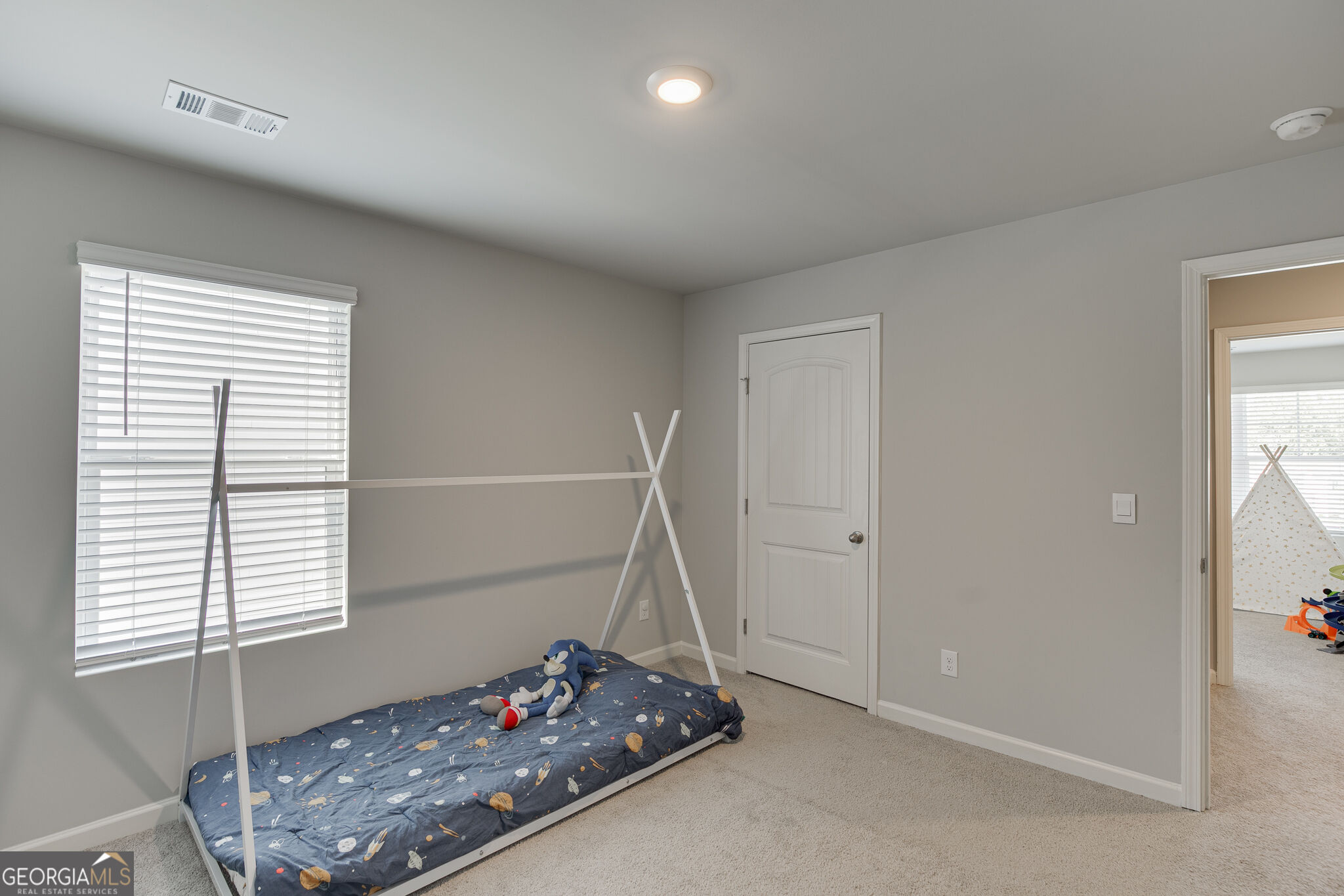 6078 Trumpet Flower Avenue Property Photo 30