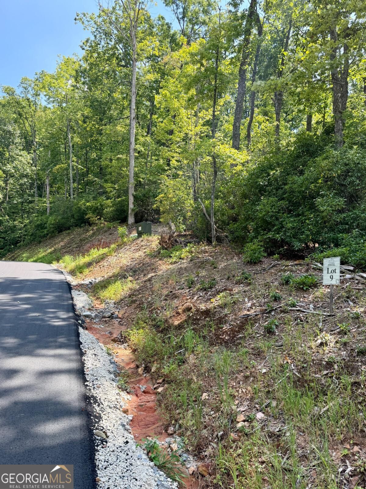 LOT 9 Sapphire Ridge Property Photo 1