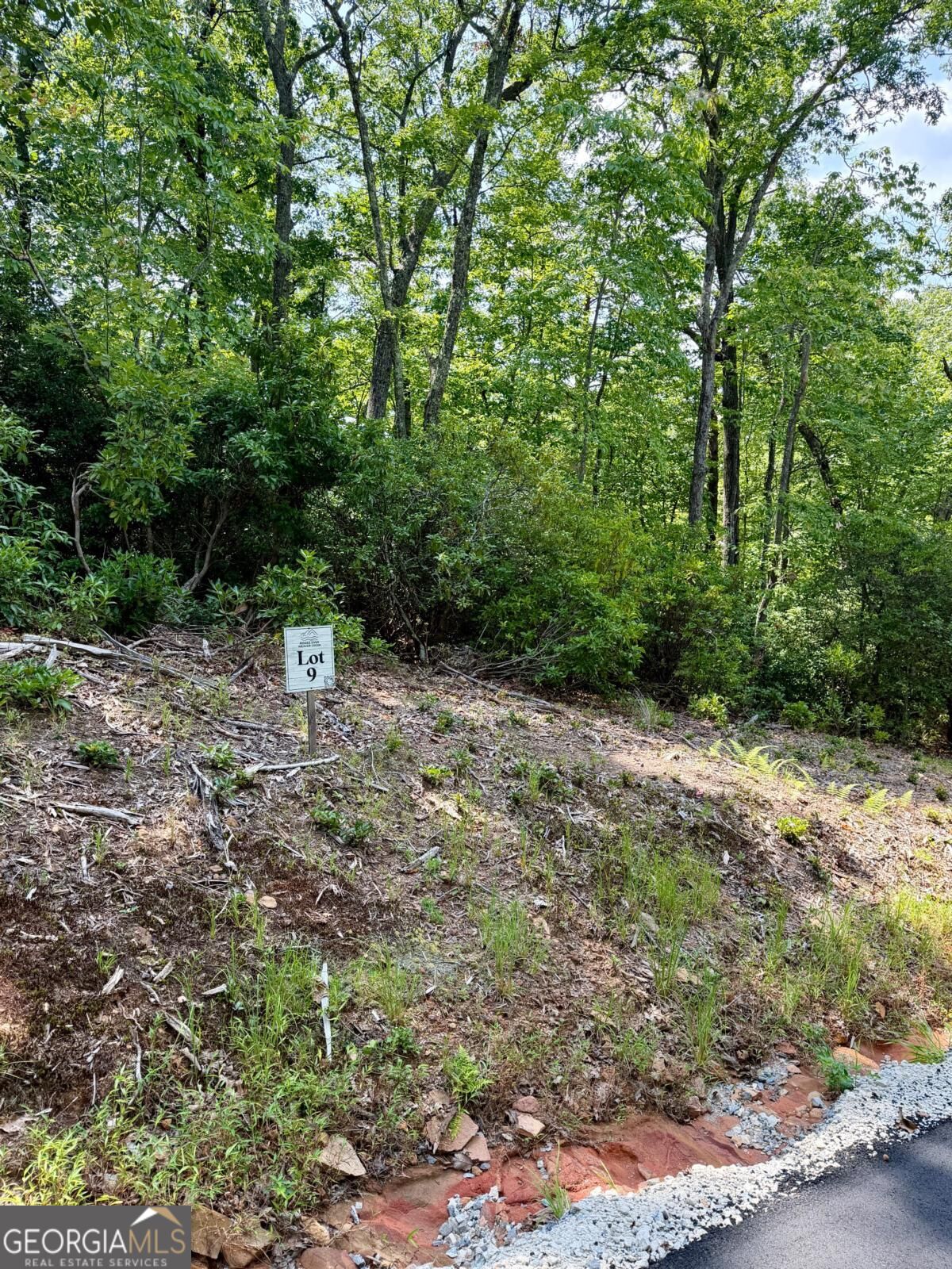 Lot 9 Sapphire Ridge Property Photo 2