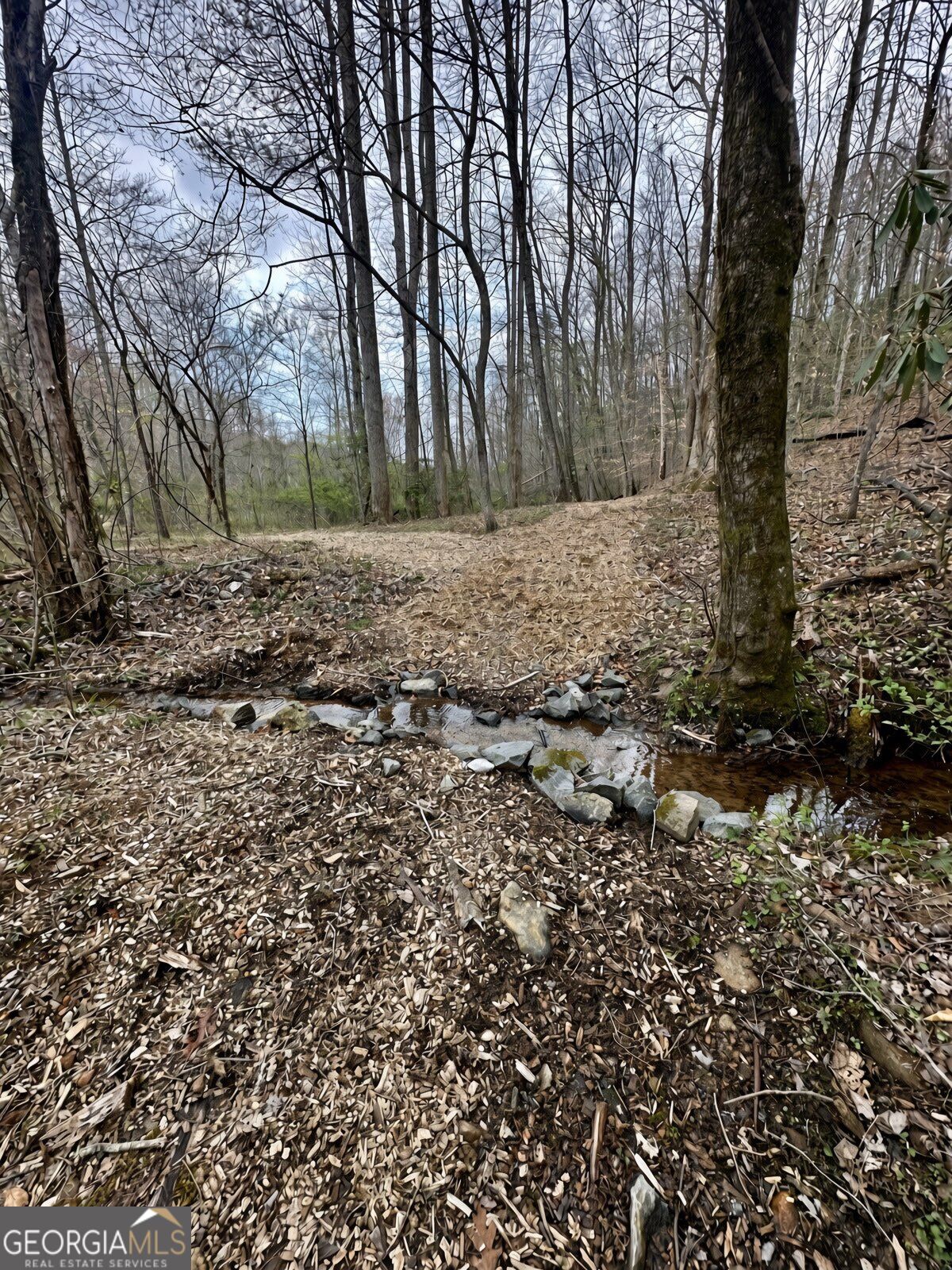 Lot 9 Sapphire Ridge Property Photo 12