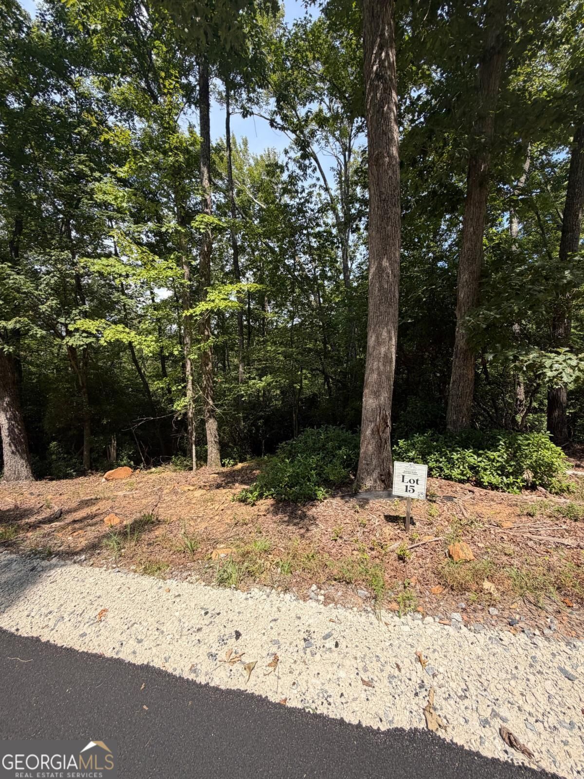 LOT 15 Sapphire Ridge Property Photo 1