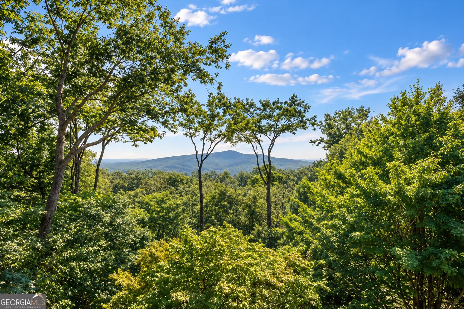 973 Cox Mountain Drive Property Photo 18