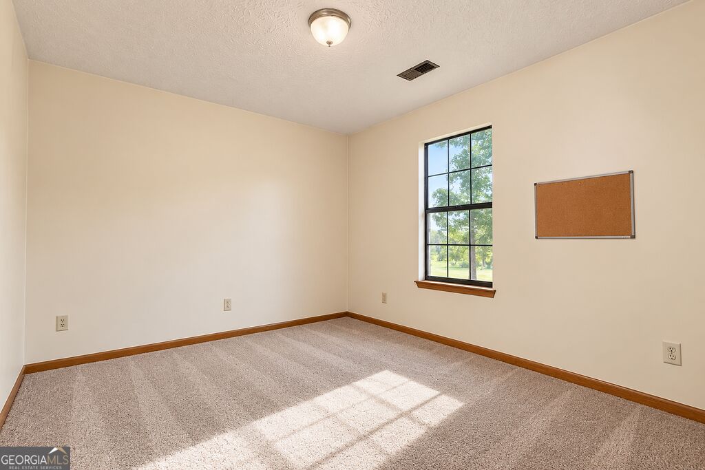 10436 Tara Pointe Drive Property Photo 10
