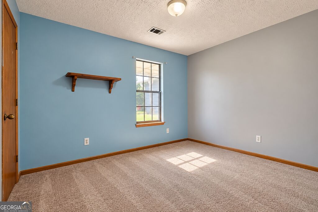 10436 Tara Pointe Drive Property Photo 12
